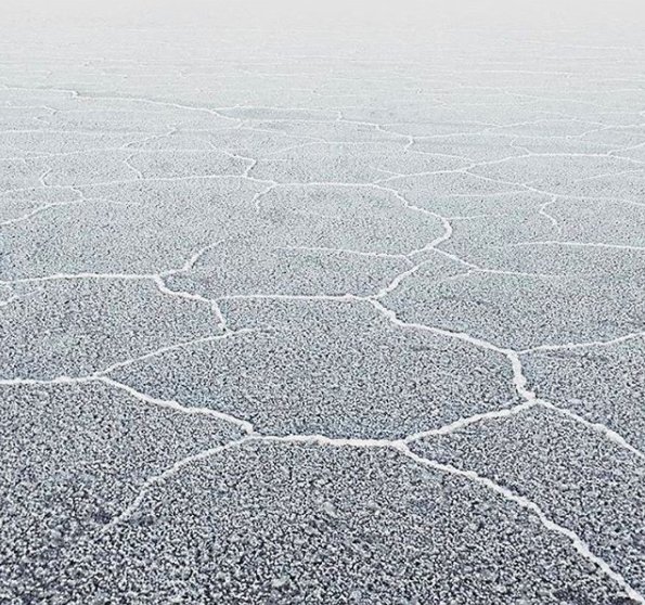 MoreCompany's tweet photo. Winter got your skin feeling like this? We use Pure Glow Hydration Therapy Moisturizer, packed to the brim with essentials to boost collagen and heal your skin while moisturizing from the inside out. Photo: Katie Edwards Shop: https://t.co/FYdrxYsbRY #WednesdayWisdom https://t.co/8ywTMq3J8V