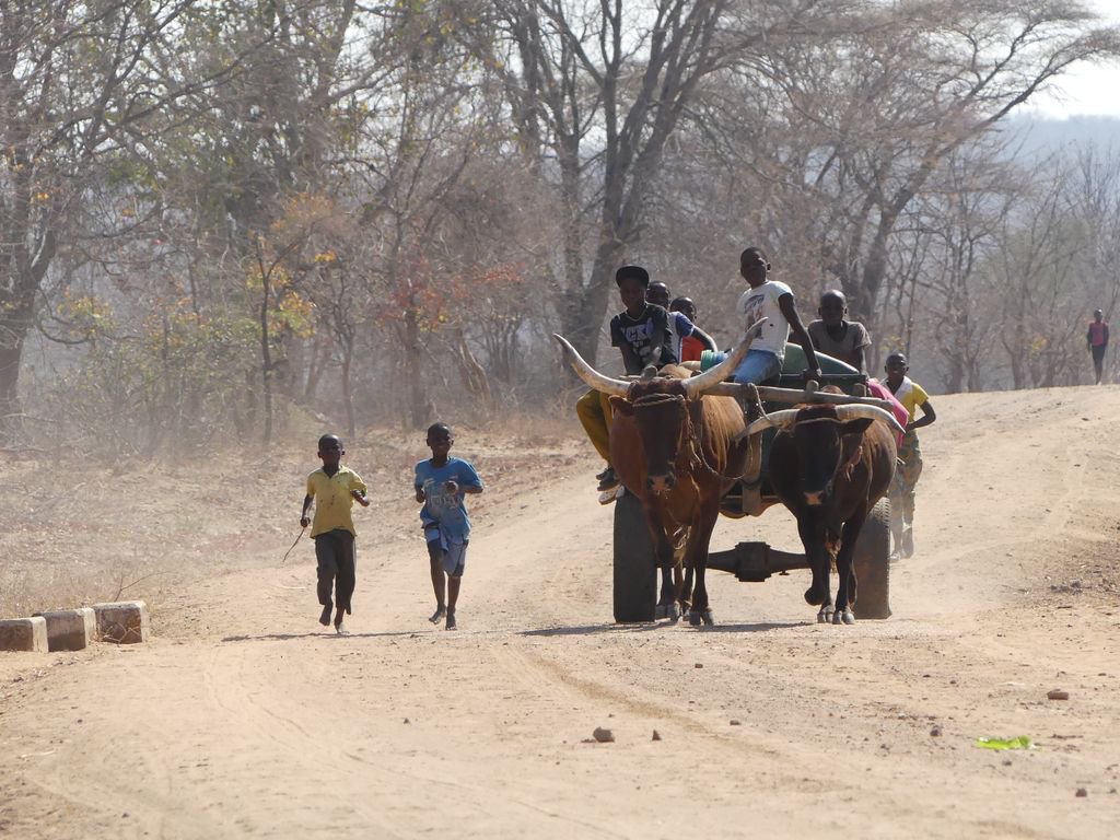 Elizabeth Willoughby tweet media