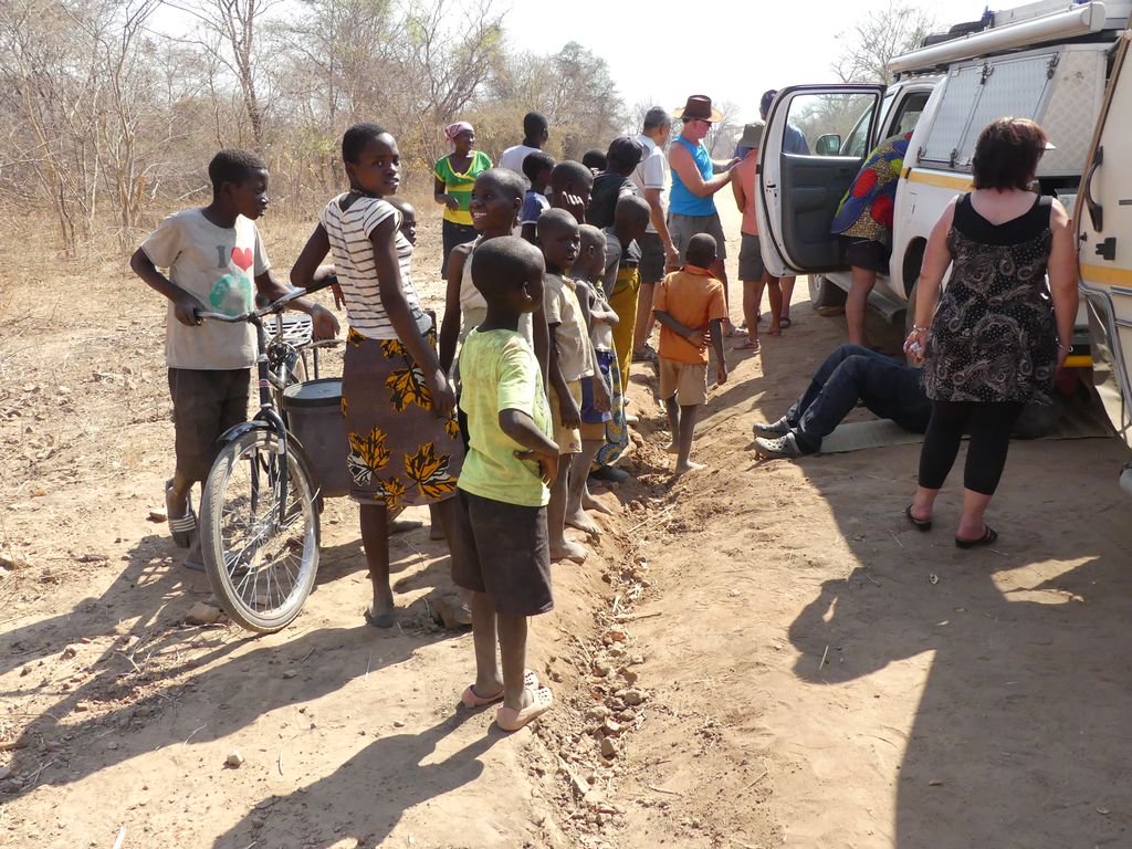 Elizabeth Willoughby tweet media