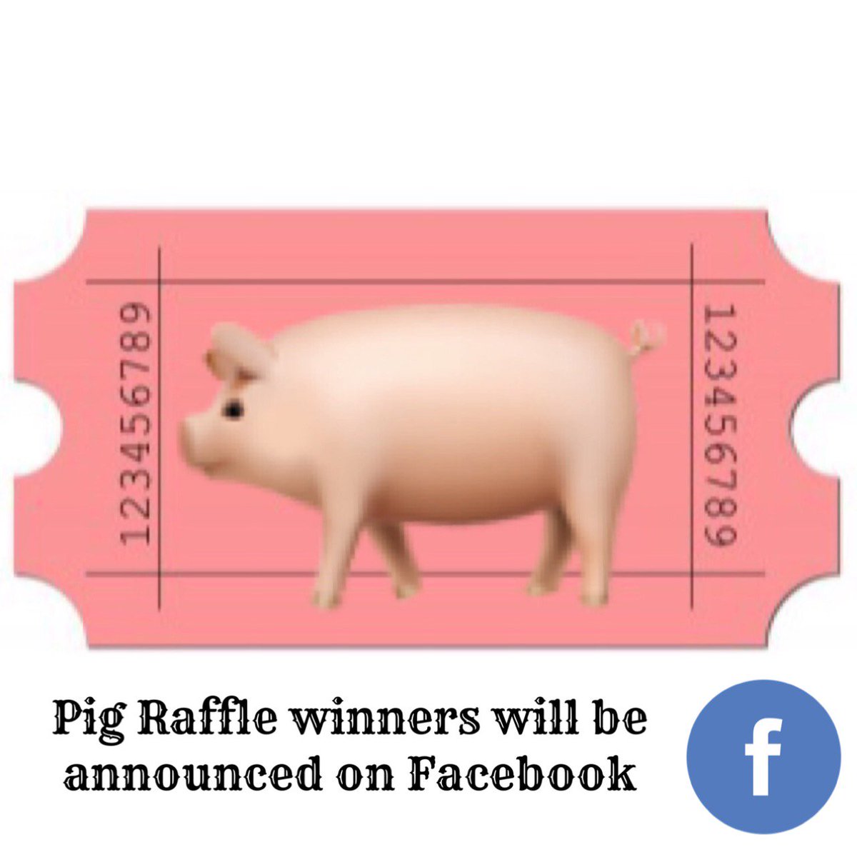 Check out our Facebook page today for the winners of the Pig Raffle! 🐷❤️
