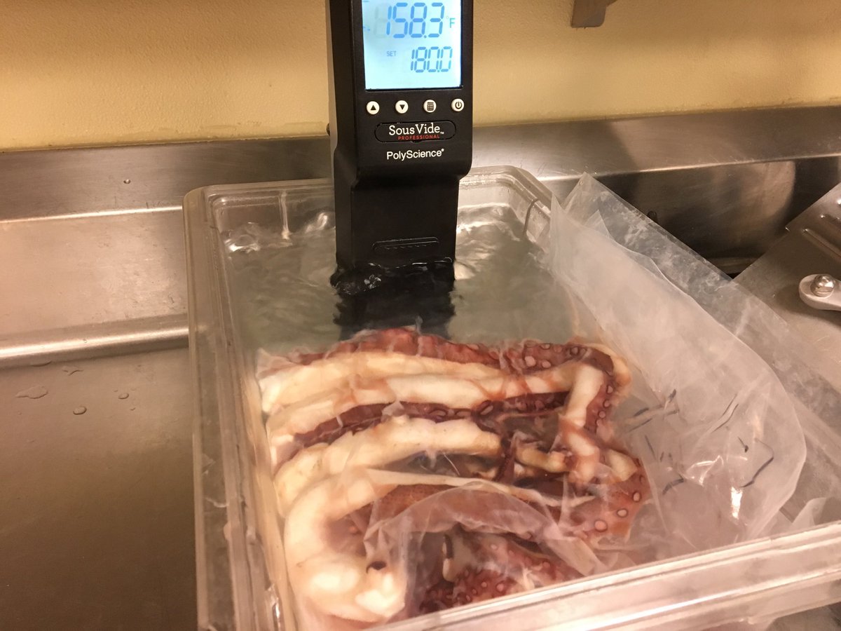 Besides seeing my daughter in the mornings, this is the better part of my day 😏 #counciloak #hardrocktampa