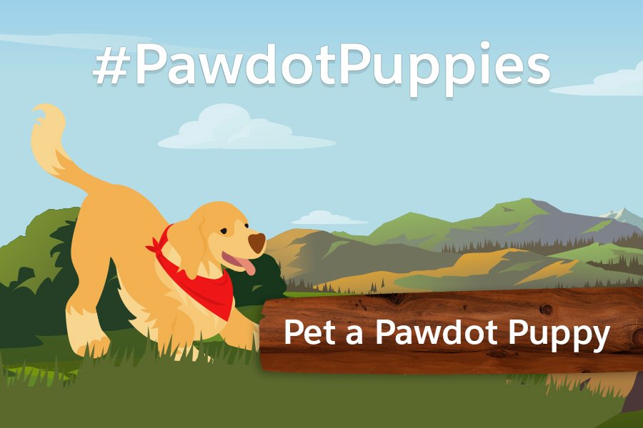 Way to go, Pardot! #PawdotPuppies I have 3 rescue dogs and umpteen rescue cats. This is a good cause. Thanks.