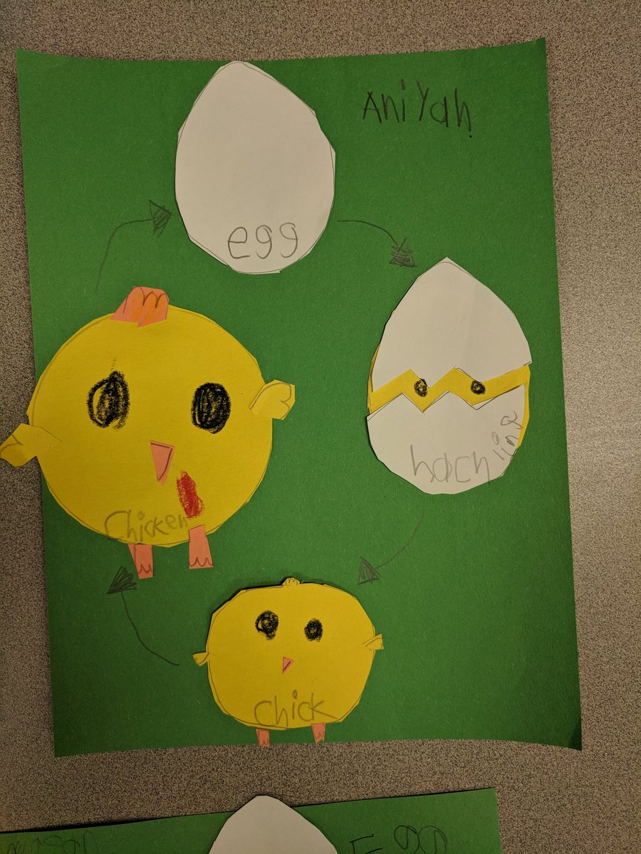 MrsGusewelle's tweet photo. We were crafty today for no worksheet Wednesday. We can flip flop addition sentences (commutative property) and we know the life cycle of a chicken. #TigersRoar #TweetingTeachersofHemmenway #NoWorksheetWednesday https://t.co/h0H102Ori4