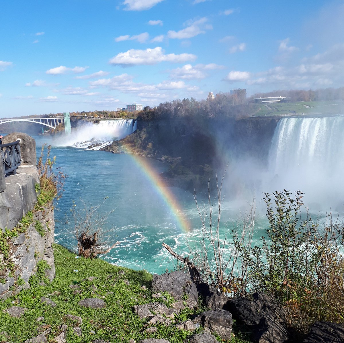 CV_Ontario's tweet photo. I never cease to be amazed by the @OCeLearnC #ltelts / #DeLCs &amp; their collaborative spirit . . . their willingness to go above, beyond to welcome 'newbies' to the fold of
#catholiceducation  #rainbow https://t.co/Xa3vBlMbTx