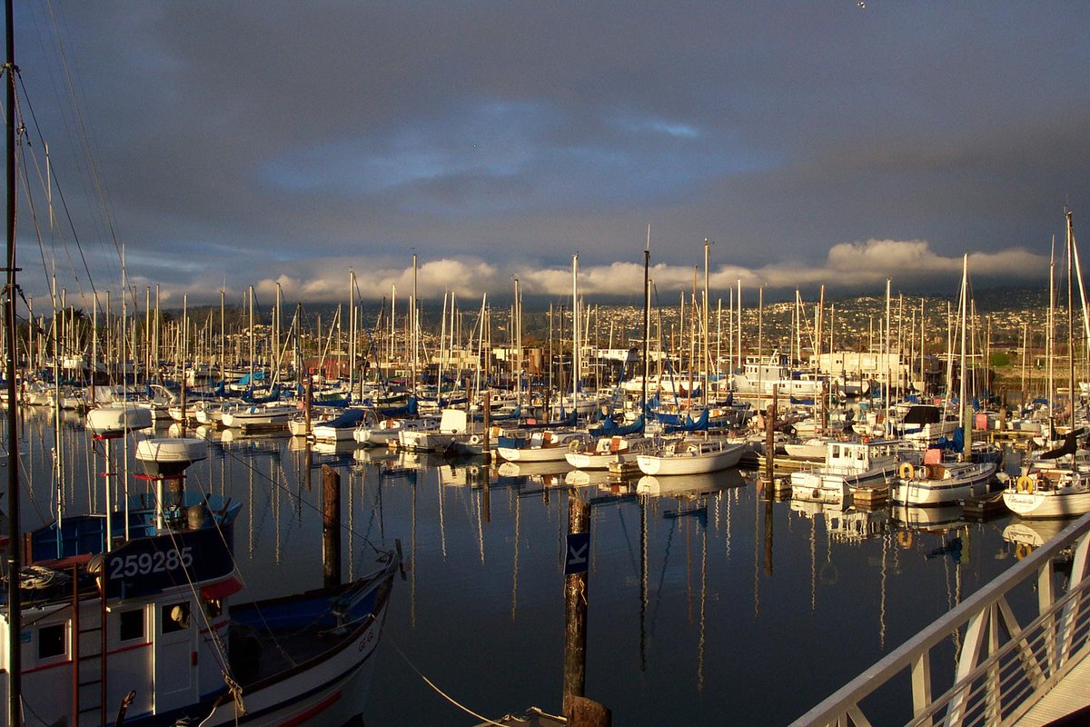 A photo of boats docked at the Berkeley Marina
