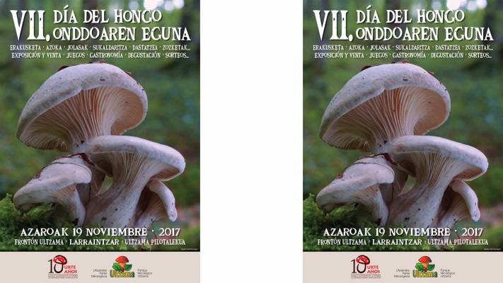 PirineosExdim's tweet photo. El fin de semana del 17, 18 y 19 de noviembre, en #LARRAINTZAR, se celebrará el VIII Día del #Hongo. Programación: https://t.co/3MoV6L4hO0 https://t.co/6IMR7XWmDw
