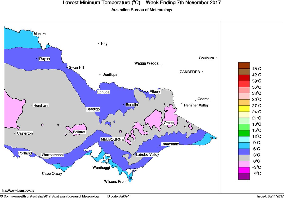 duncan_whittle's tweet photo. Late #frost on Nov 4th-5th in #VicWimmera and WD region, previously highest rated condition for Aus #crop17 . Damage identified in #pulses, #canola and #wheat from Tatyoon (canola pic) to Horsham. Late crops most severely hit. #harvest17 https://t.co/MasKncIdAB