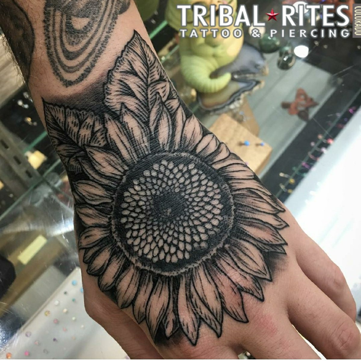 TribalRitesCO's tweet photo. Sunflower hand tattoo by @TheSwissMissile!
#sun #sunflower #sunflowertattoo #tattoo #handtattoo #flowertattoo #ouch #blackandgrey #beautiful #boulderco #boulder #colorado #thehill #cuboulder #lovely #guyswithtattoos #apprentice #piercingapprentice https://t.co/n279cnASAD