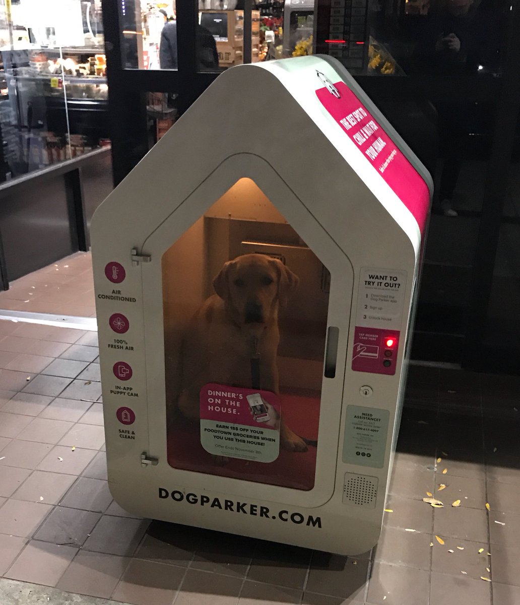 Holy shit, someone really did it