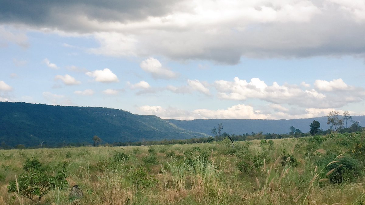 PhenProm's tweet image. រដូវច្រូតកាត់បានចូលមកដល់(Harvest Season)