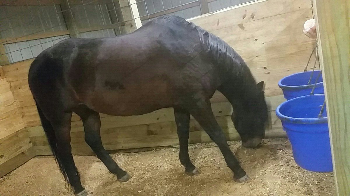 Gotta to snuggle this boy tonight 😍 #MuchNeeded