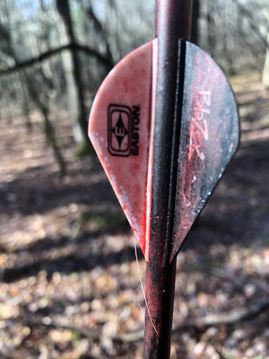 JBPaussa's tweet photo. Hey @RedArrowTV got me a red arrow this afternoon with a nice buck at the end of the trail! https://t.co/w0MMnCPekj