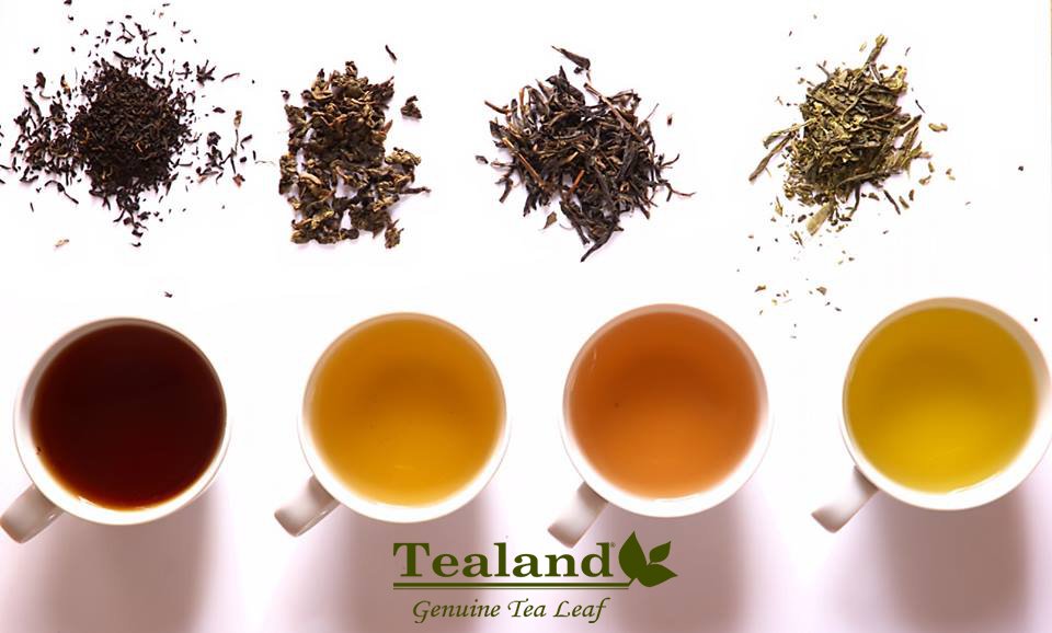spamiles's tweet image. "A cup of tea is a cup of peace" - Sen Sshitsu XV. Tealand offers genuine tea leaves rich in anti-oxidants to improve cellular health and decrease the effects of pre-mature ageing and cancer. #spamilesbrands #tealanddubai #healthylifestyle #healthytea