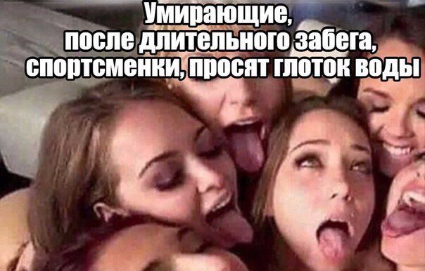 Наблюдатель (@veronsolen) on Twitter photo 