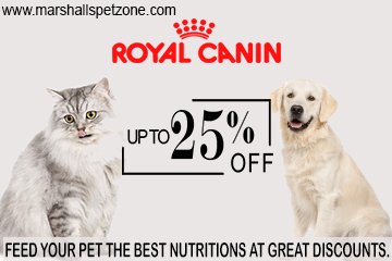 marshall pet zone online