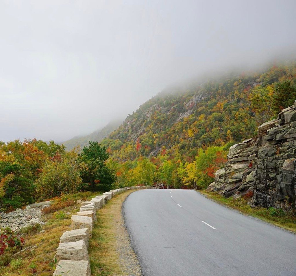 TheLearningStep's tweet image. Still remember this drive early morning through the #acadianationalpark...the mist made for a great view!

#nofilt… ift.tt/2jblAoE
