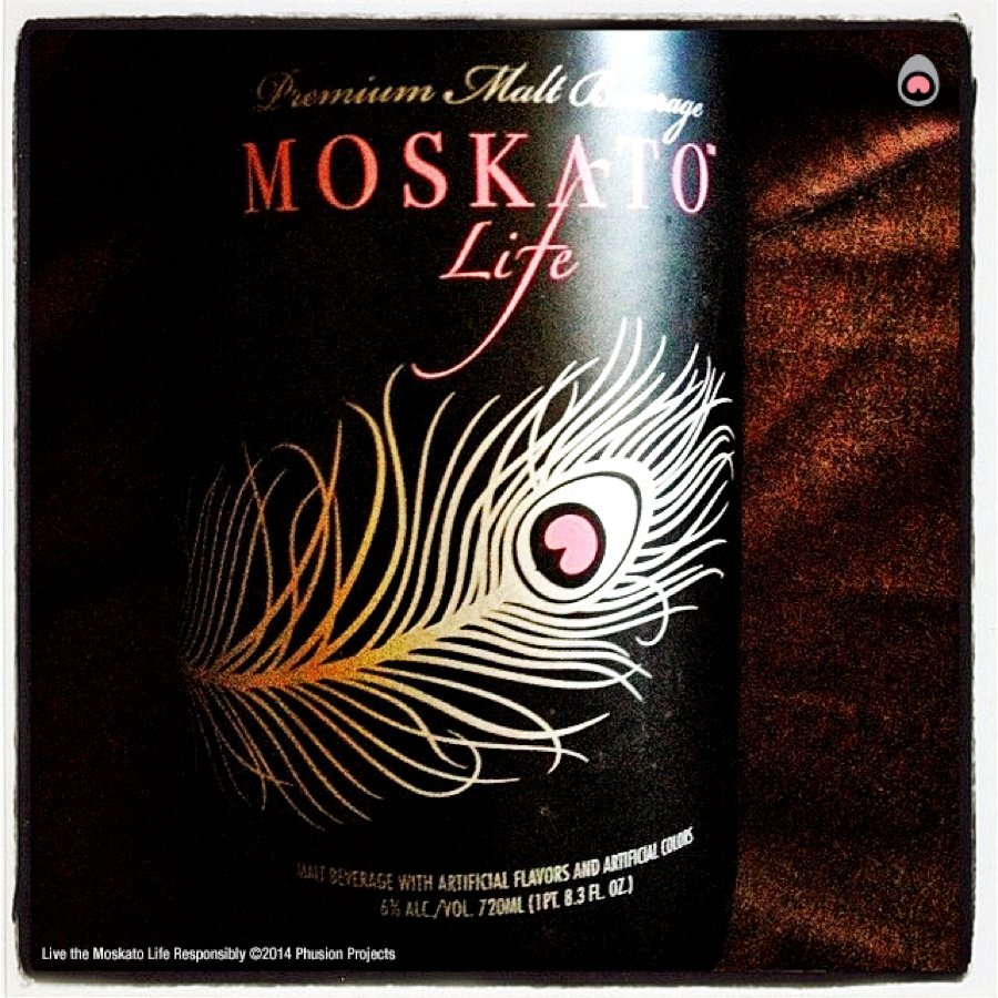 MoskatoLife's tweet photo. Never be afraid to ruffle a few feathers https://t.co/o9In99dVfT