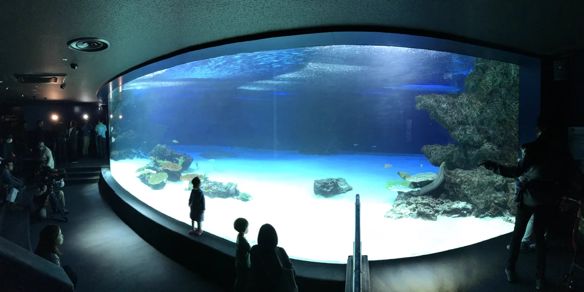 サンシャイン水族館の異変。水槽から９４％の生体がいなくなった。