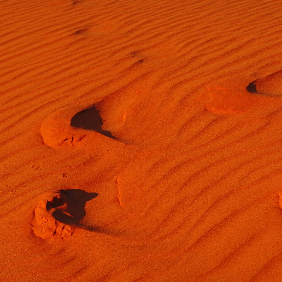 The dry red earth of Simpson Desert. Australia’s treasure. territorydiscoveries.com