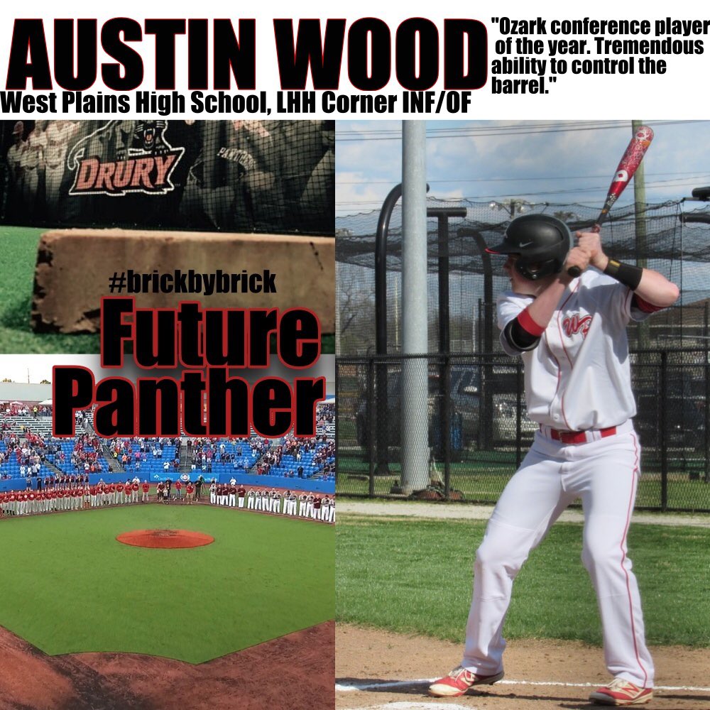 DruryBaseball's tweet photo. Please welcome @AuctanWooder to the Panther Family! https://t.co/yRP679ImVX