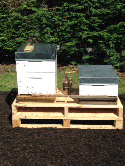 Welcome to be new bees at Highwic, Newmarket. #Fortheloveofbees