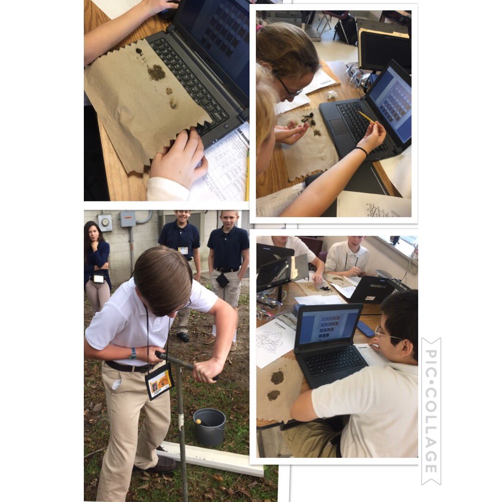 nbms_sciencelab's tweet image. Super soil scientists at work!@NewBridgeBears @NewBridge8th