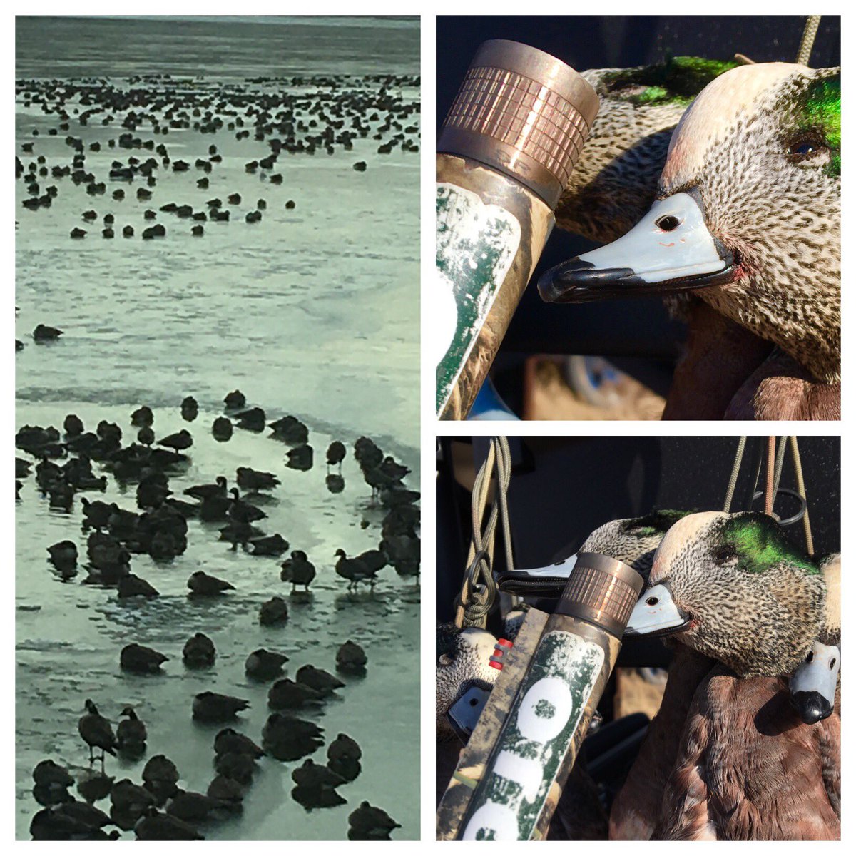 morganbow1254's tweet photo. wow - Wicked ON WIDGEON.         MOJO FATAL SHOT CHOKES https://t.co/MuUEsS6DXT