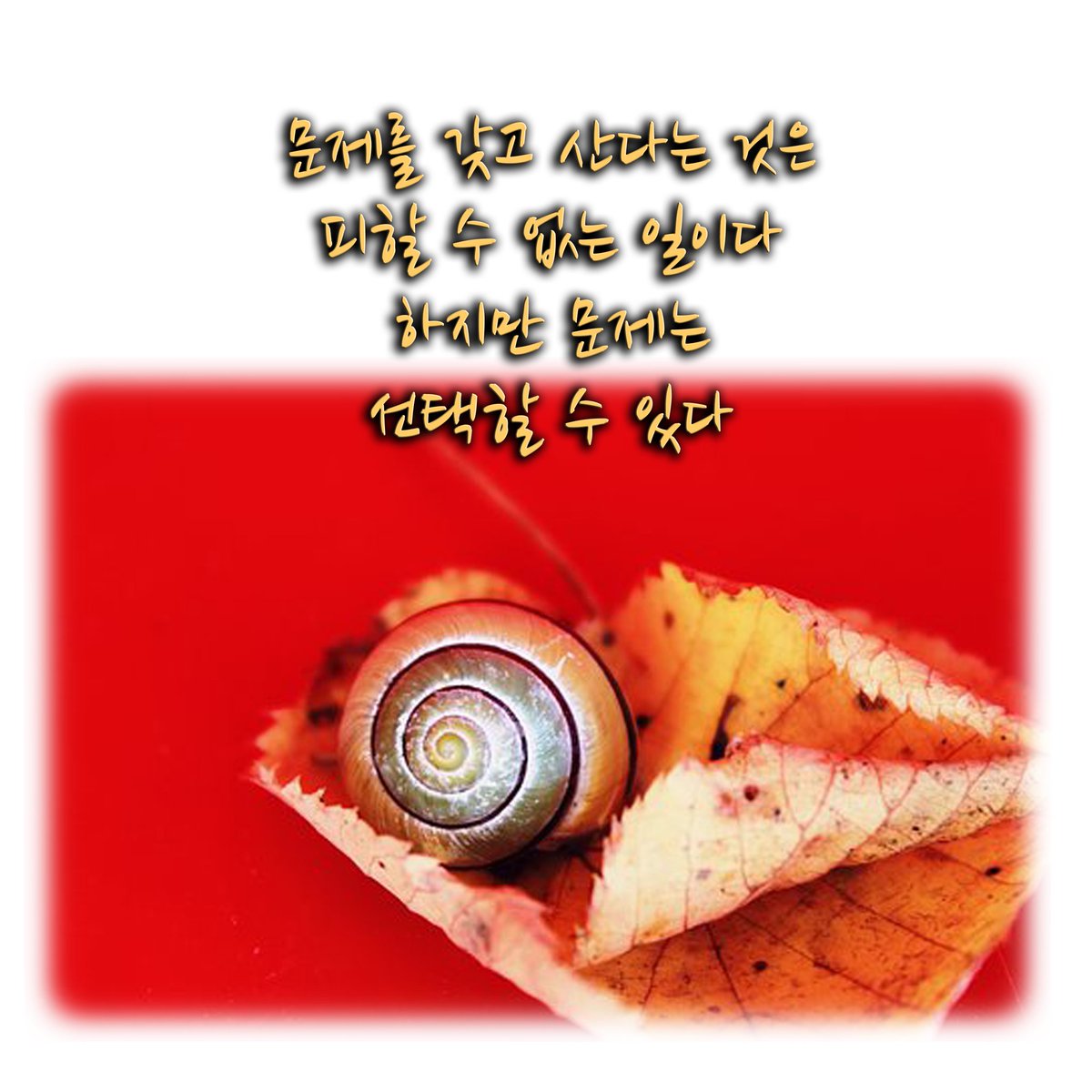 문제를 갖고 산다는 것은