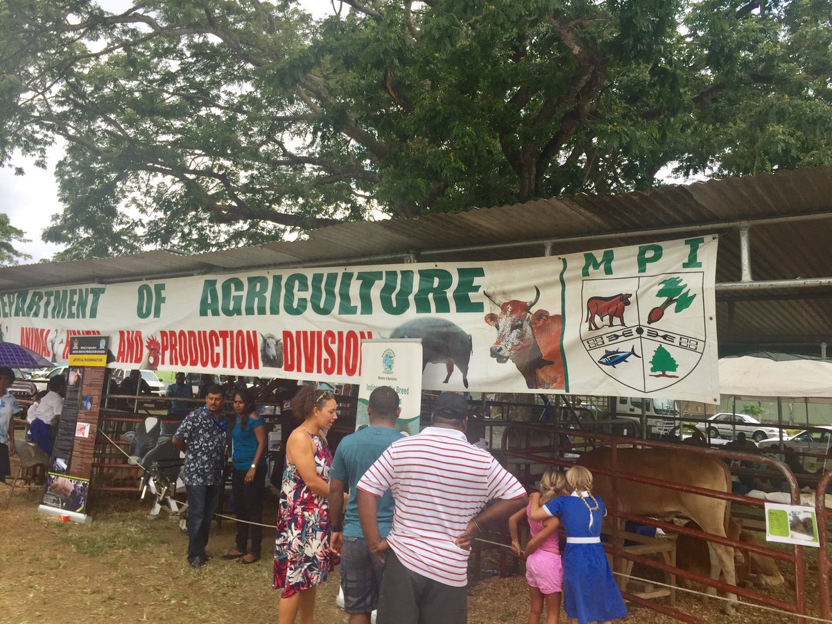 Salome Tukuafu tweet media