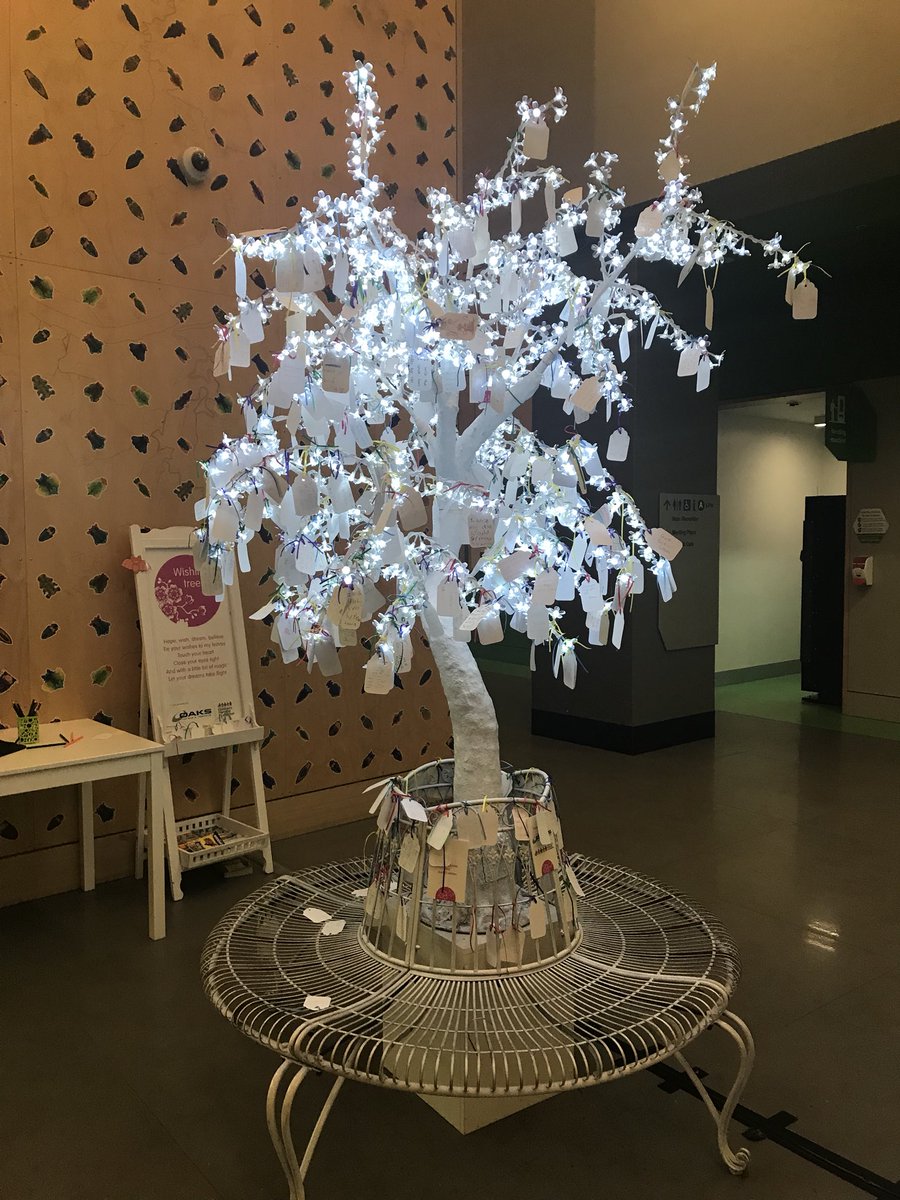 IFICInfo's tweet photo. Thanks to everyone at Lady Cilento Children's Hospital’s for a fascinating tour of their innovative facility #APIC1 #integratedcare https://t.co/NaxWIO06LX
