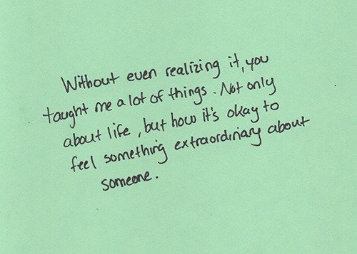 The Huntress
-Beforus Nepeta Leijon
-Olive Blood
-12 Sweeps Old
-Founder of The Quadrants
-Threads Below
-Please Retweet