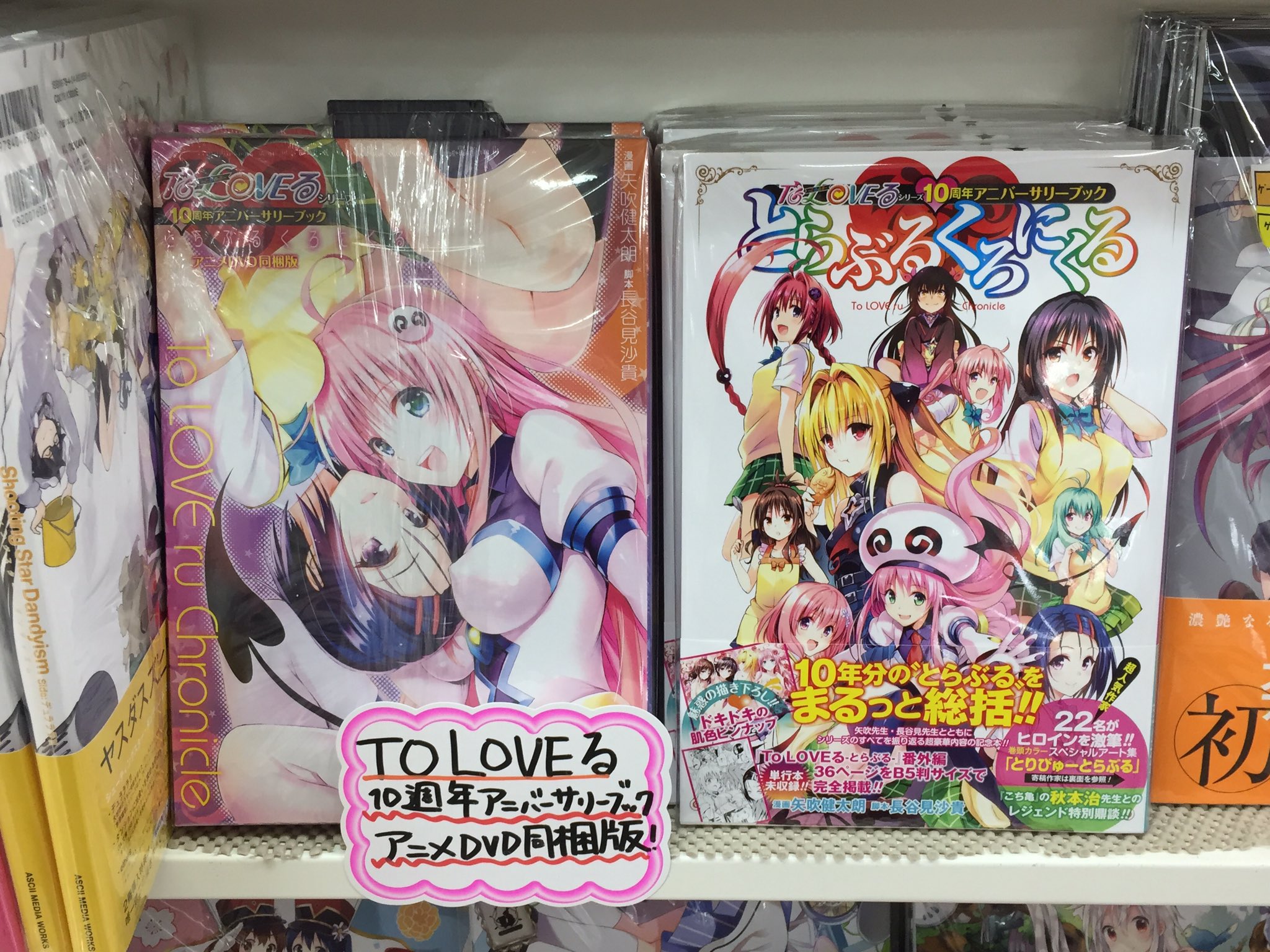 ToLoveる くろにくるDVD同梱版 To LOVEる-とらぶる-シリーズ10周年 アニバーサリーブック