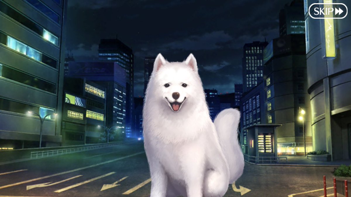 メアドを変えたら迷惑メールが止まった Auf Twitter かつて 熊と ライオンとも闘っていた 勇敢な 犬 サモエドのようです ご覧ください サモエドのようです