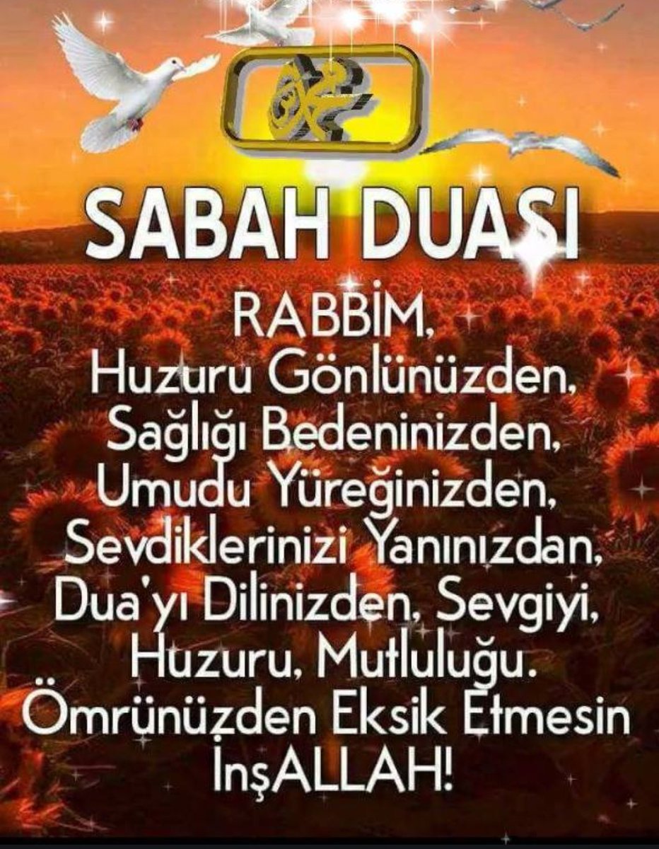 Hamide49466979's tweet photo. @eminecelik62 @d_cakaroglu @talip3444 @gncnrllh @kadrisahan  https://t.co/eRAGPHH0RN