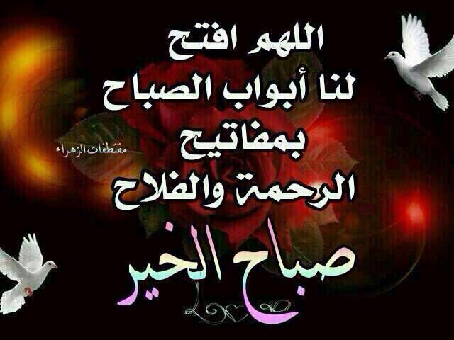 مها (@kkk66615) on Twitter photo 