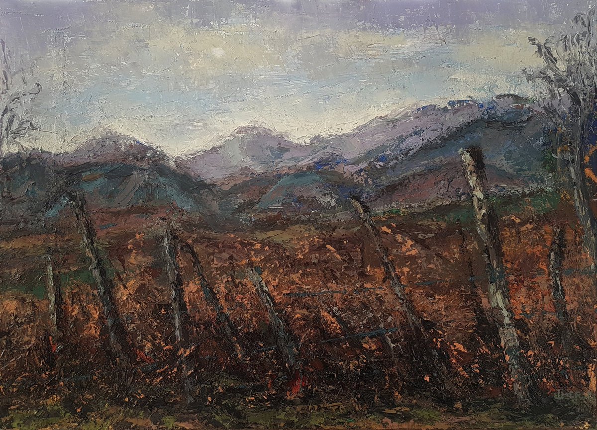 Imer Gashi tweet media