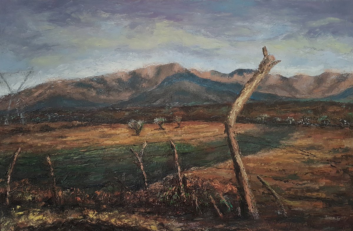 Imer Gashi tweet media