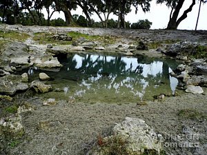 dhackett4150's tweet photo. #sink #bluesink #reflections #cenote #cenotes #krast #grotto #springwater #freshwater #florida #dhackett https://t.co/fqni9c1gLm https://t.co/dhxmioIQ92