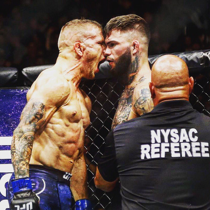 JoeAckers's tweet photo. Iconic picture for UFC 217 DJ DILLASHAW KILLASHAW THRILASHAW #UFC217 #killashaw #tjdillasahe #tjvsdj https://t.co/m5hsgHtzfx