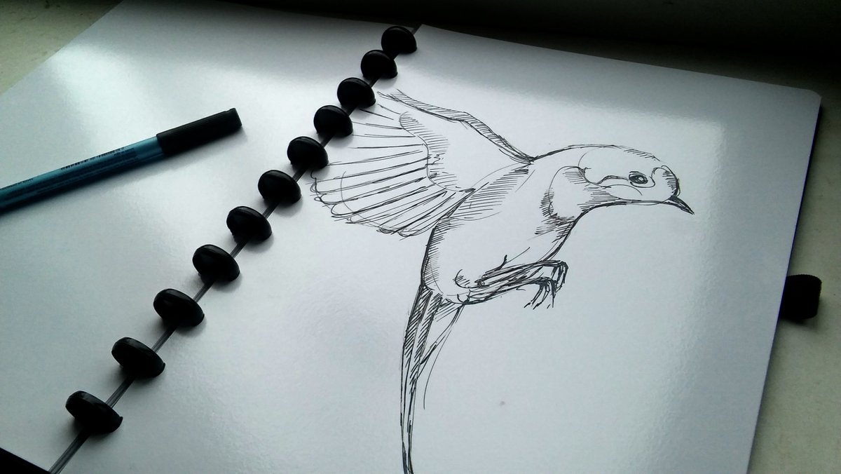 Esquoia's tweet photo. few #drawings of #artists who use #esquoia 
We would be happy to see how you are using it 
#art #scetch https://t.co/NWL0QefQy9