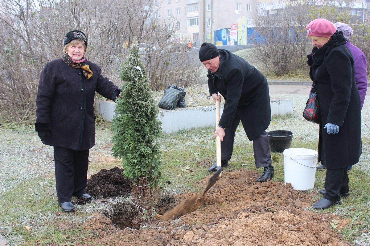 Сезон высадки зеленых насаждений в рамках экологических субботников завершился 9 ноября на Шереметевском проспекте посадкой 40 деревьев около мемориала Героям фронта и тыла ivgoradm.ru/news?nid=34560