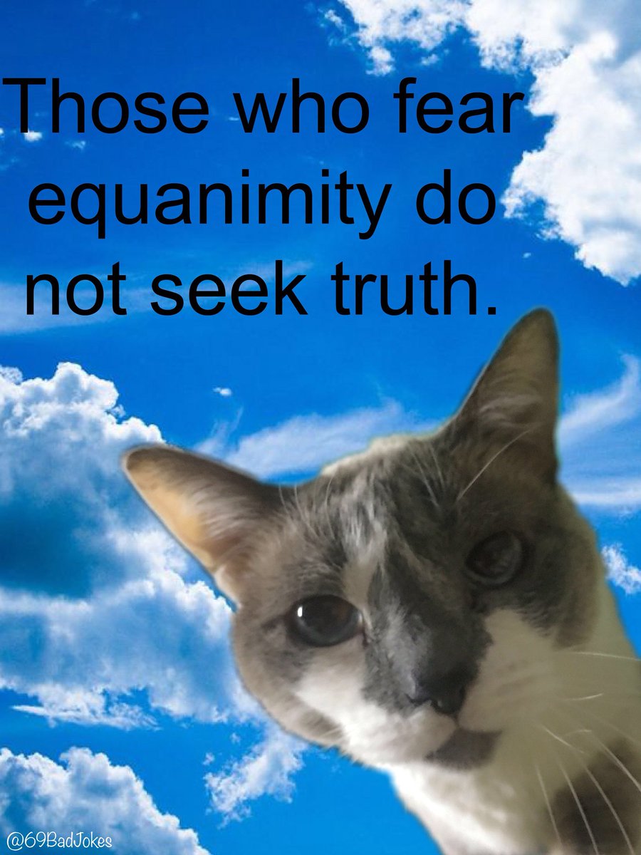 #catmemes #cats #wisdom #dumb #lmao #lol #share