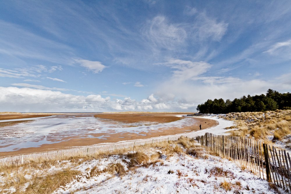 Nan's Cottage tweet media