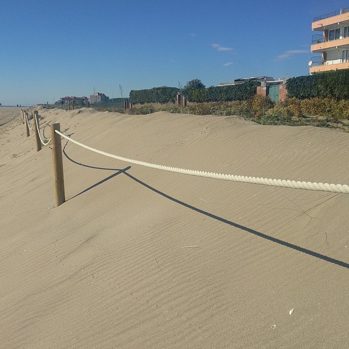 volemdunes's tweet image. 