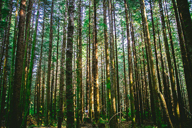 choosethriving's tweet photo. #insideshift
#thankfulthursday
“Success corrupts character when a person loses the spirit of thankfulness.”
― Orrin Woodward https://t.co/P7EzoFseaH