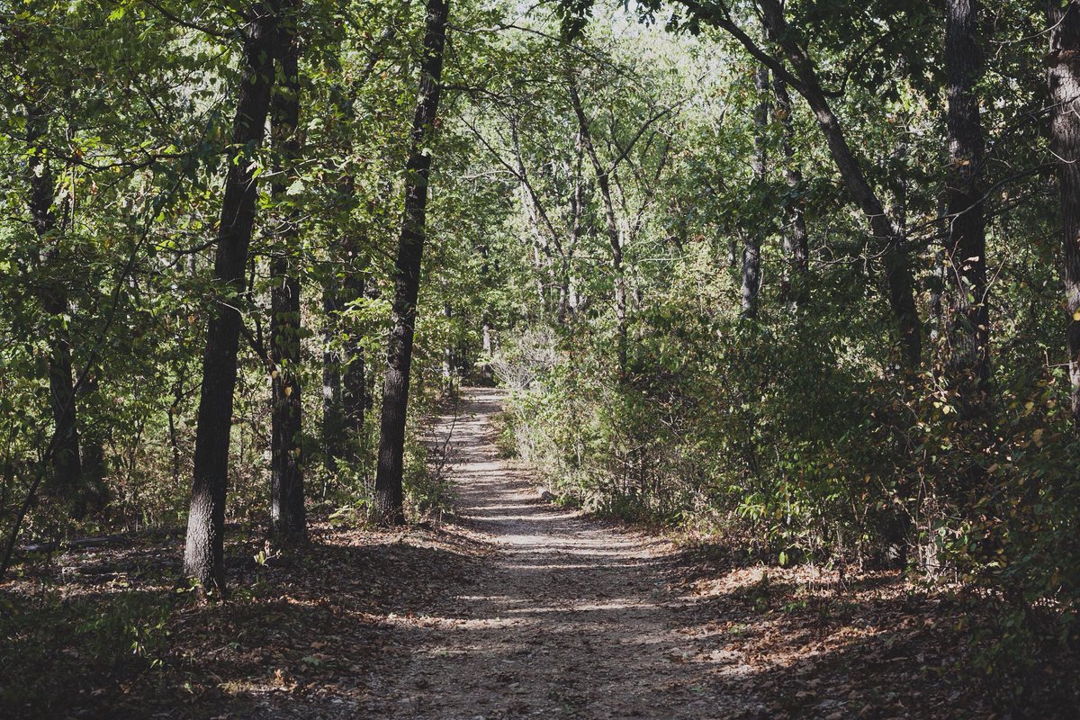 Shiarlamagne's tweet photo. #hike #Branson #outdoors #nature #headedback #trails #trees #leavesfalling #fall #walksinthewoods #autumn #leaves #twistingtrails #explore #goexplore #oldhomestead #ozarks #missouri https://t.co/FVq7wPDSnf