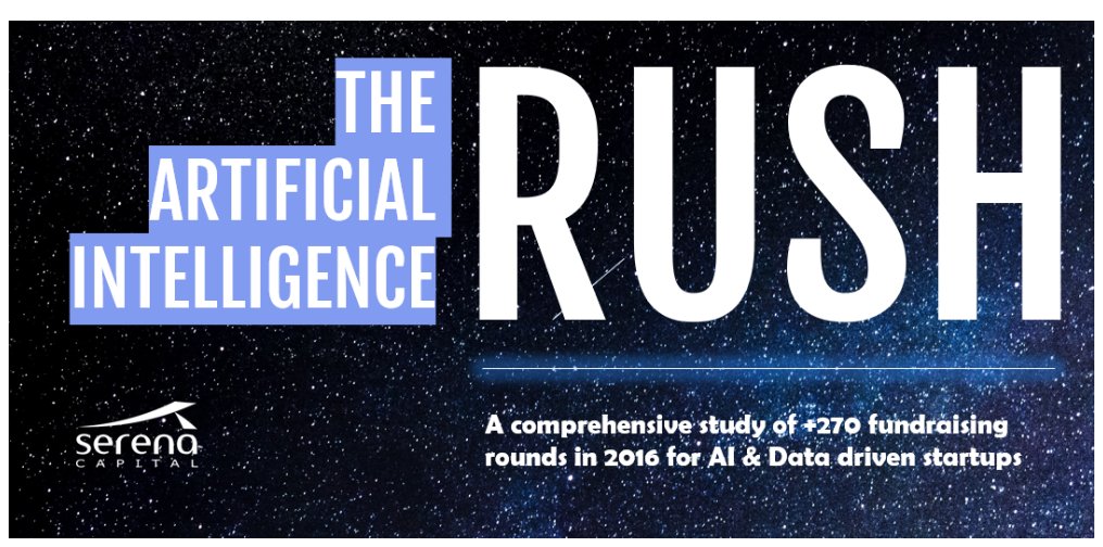 Good reading ahead with the #AI Rush study by <a href="/serenacap/">Serena</a> blog.serenacapital.com/the-ai-rush-6b…