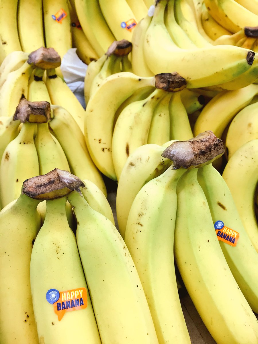 emilialaw_'s tweet photo. an organic banana is a happy banana #shefOWC #OWC 🍌🍌🍌🍌 https://t.co/9fADen5TPB