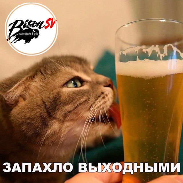 Стейк Хаус "БИЗОНSV" tweet media