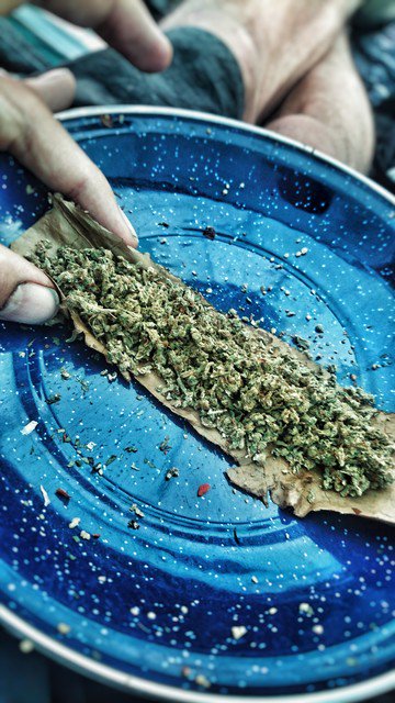 RoastedAndBaked's tweet photo. Where is our mind ? βΌπβΌπβΌ πππ #Stoner #ROASTEDANDBAKED #Lemonize #Babylon #Rasta Telling the #truth, no #underground π£π₯πΏπ₯πΏβπππ
#cannabis https://t.co/z97su9oHmw